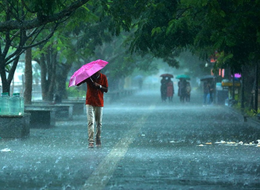 സംസ്ഥാനത്ത് ഇന്നും ശക്തമായ മഴയ്‌ക്ക് സാദ്ധ്യത; രണ്ട് ജില്ലകളില്‍ യെല്ലോ അലര്‍ട്ട്