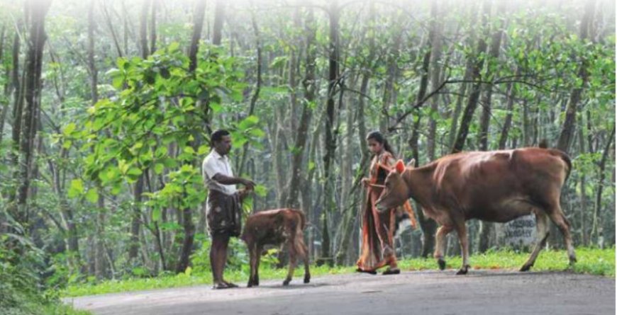 ക്ഷീരകര്‍ഷകര്‍കര്‍ക്ക് ഒരു  ആശ്വാസവാര്‍ത്ത. 3 ലക്ഷം രൂപ വരെ കുറഞ്ഞ പലിശനിരക്കില്‍ വായ്പ ലഭിക്കും