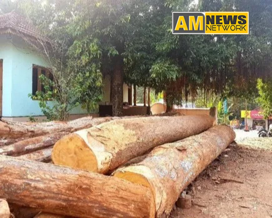 ആഞ്ഞിലി വില്‍പ്പന  -  ക്വട്ടേഷന്‍ ക്ഷണിച്ചു